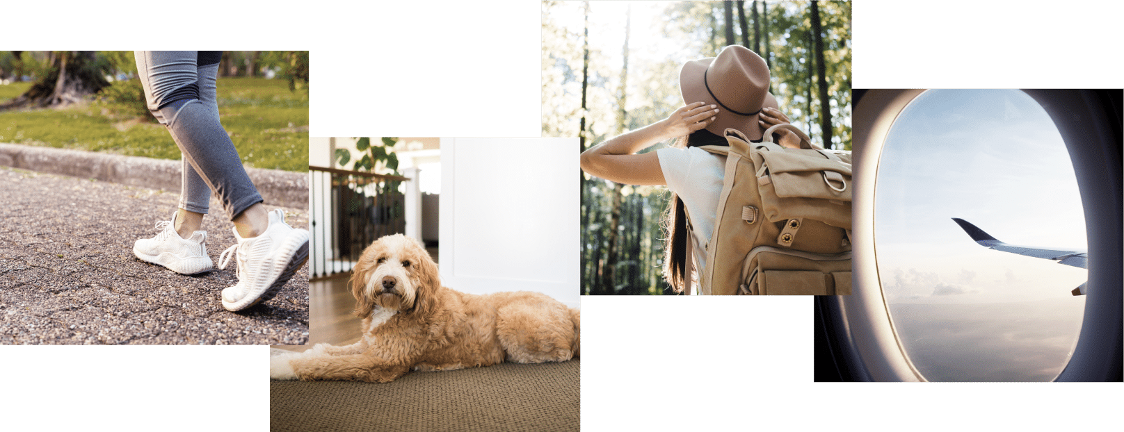 collage of four image: airplane window, dog, walking, and person travelling